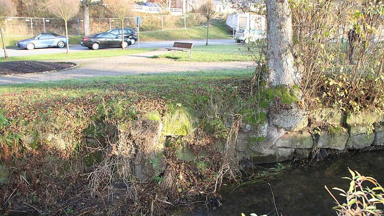 Der Stamm weist Schäden auf.