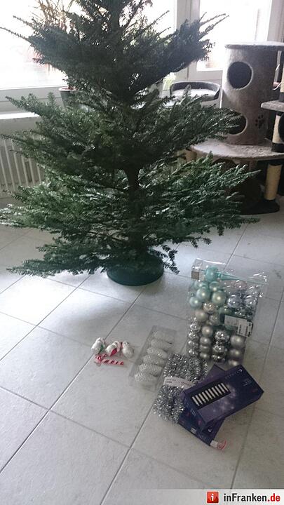 Weihnachten in Franken: Die Christbäume unserer Leser