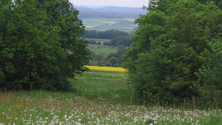 Natur pur oberhalb von Degendorf. Foto: Günter Reinlein