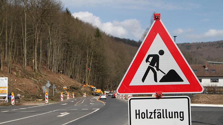 Fällarbeiten entlang der Kissinger Straße in Bad Brückenau im Frühjahr 2018 Foto: Ulrike Müller