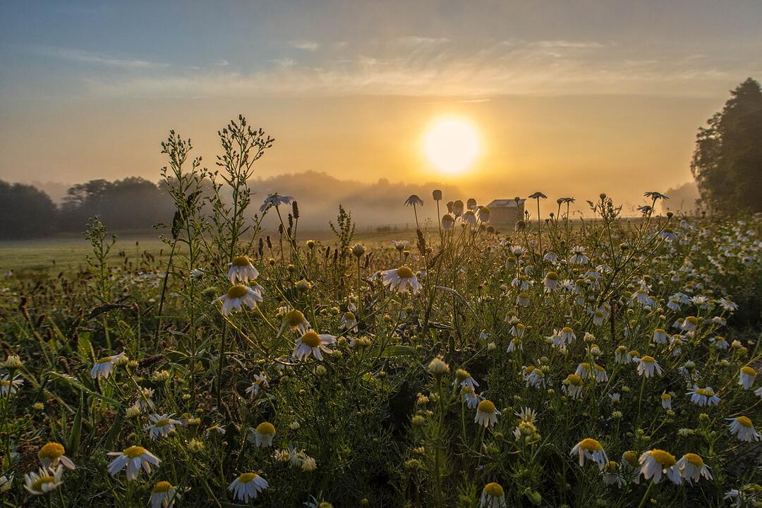 Die schönsten Fotos im Juli aus Coburg und Umgebung