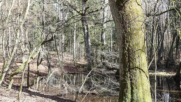 Unterwegs auf unserer Dünenwanderung mit Andi Schettler. Foto: Barbara Herbst