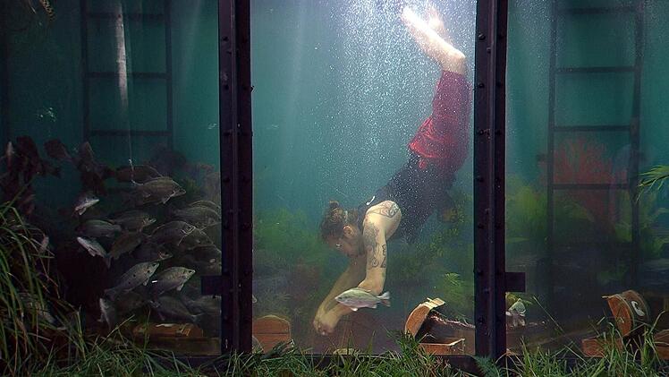 Gil Ofarim muss eine Dschungelpr&uuml;fung in einem riesigen Aquarium antreten.