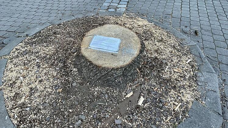 Auf dem Baumstumpf der gefällten Linde auf dem Paradeplatz in Forchheim wurde eine Traueranzeige hinterlassen. Die Freiwillige Feuerwehr Forchheim und die Stadt Forchheim nehmen Stellung.