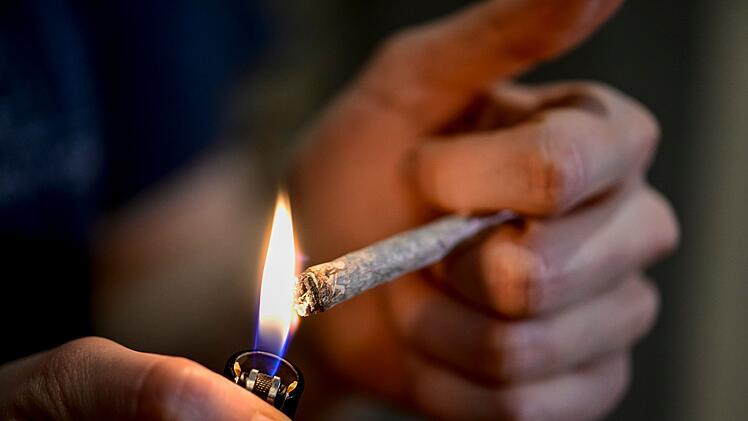 Cannabis