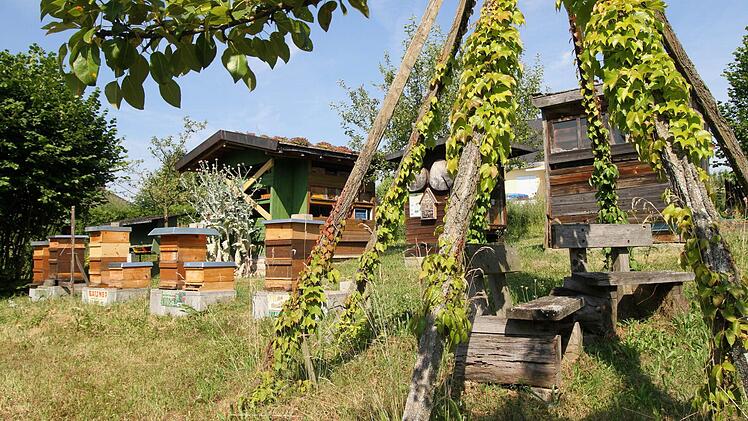 Von Blühpflanzen umgeben und eingerahmt mit Steinstöcken - der Lehrbienenstand.