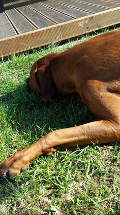 Foto: Tito2578