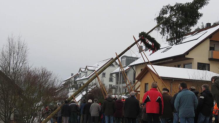 Ein Tross aus mehreren Traktoren brachte die "Bürgermeister"-Bäume an Ort und Stelle. Foto: Doris Bauer