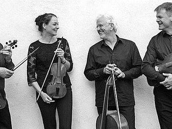 Mit einem "Meisterkonzert extra" präsentiert sich das Ensemble "Il capriccio" am 4. November im Schüttbau in Rügheim. Beginn ist um 17 Uhr. Foto: Jo Dohse