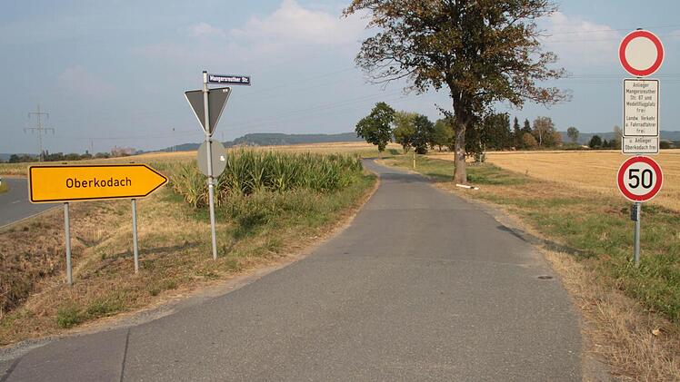 Die Mangersreuther Straße führt mitten durchs geplante neue Gewerbegebiet. Hinter der kleinen Baumgruppe im Bildhintergrund wohnt die Familie Mohr. Würde das Gebiet abgespeckt, bliebe zumindest der Bereich rechts der Straße frei von Gewerbeflächen. Foto: Dagmar Besand