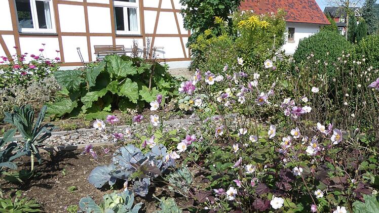 Gemüsegarten und Staudenflächen geschickt vereint hat Familie Schlichtegroll aus Modlos.Dieter Büttner