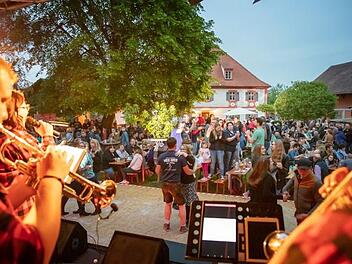 Als die "Next Generation", der Nachwuchs der Kleinen Dorfmusik, aufspielte, standen die Fans auf den Bänken.  Foto: Evi Seeger