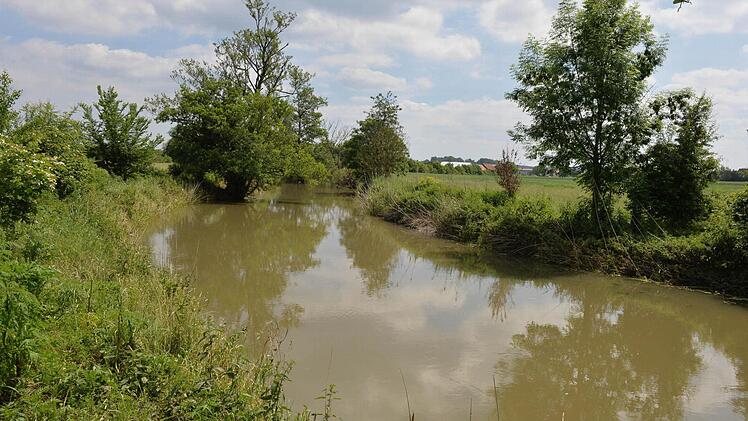 Foto: Ronald Rinklef