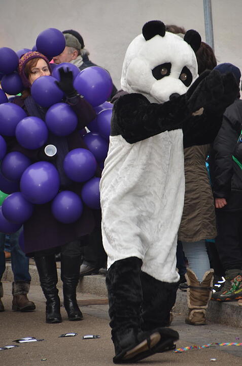 Landkreisfaschingszug 2015