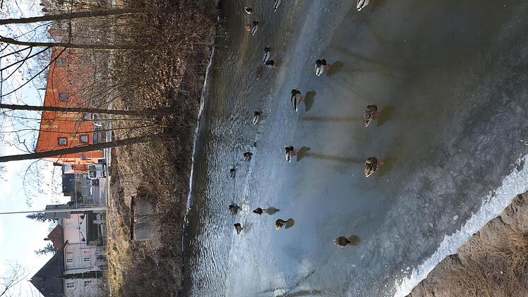 26. Februar 2018: Gleiche Stelle, gleiche Eiseskälte. Von der Brücke sind noch die Lager übrig, die Eisfläche ist deutlich instabiler.