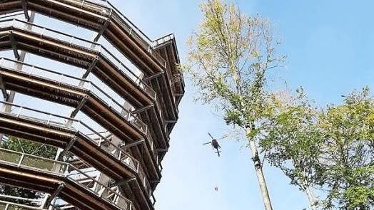Probe für den Ernstfall: Höhenretter der Berufsfeuerwehr Würzburg am Baumwipfelpfad Steigerwald  Foto: Bayerische Staatsforsten AöR/Dan Sommer