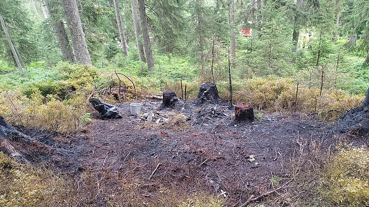 Absturz eines Kleinflugzeugs in Österreich
