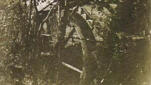 Dieses Mühlrad drehte sich von 1901 bis 1933 an der Rothmühle und sorgte für den Antrieb der Mühlentechnik. Repro: Dieter Runzer