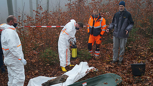 &Uuml;bung Landratsamt Bad Kissingen