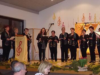 Der Singkreis Schönderling gestaltete zu seinem 30. Geburtstag einen bunten und kreativen Abend. Foto: Beatrix Lieb