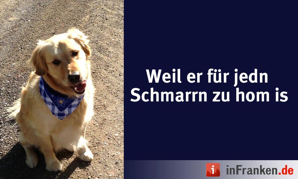 Foto: Melanie Kalb