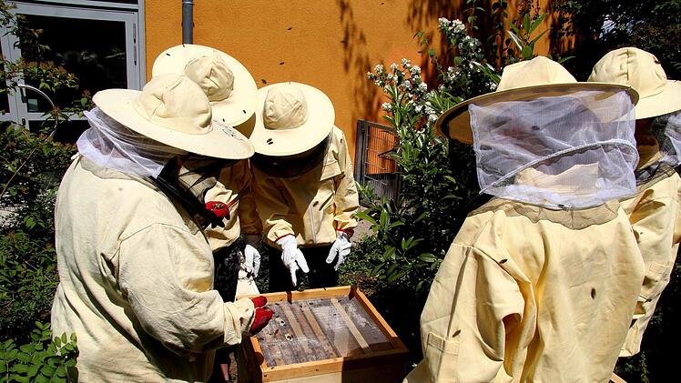 Der Bienenkasten wird zum ersten Mal geöffnet. Foto: Richard Sänger
