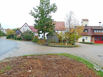 Über dem Löschwasserbehälter in Kappel waren Bäume gepflanzt worden, die nun Probleme bereiten. Foto: Petra Malbrich