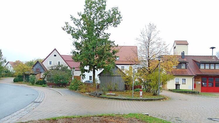 Über dem Löschwasserbehälter in Kappel waren Bäume gepflanzt worden, die nun Probleme bereiten. Foto: Petra Malbrich