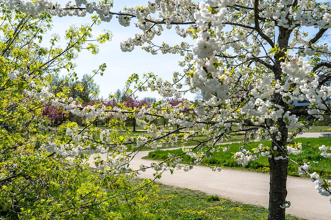 Wundersch&ouml;ne Naturfotos aus Bamberg.