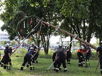 Mit vereinten Kräften stellt die Freiwillige Feuerwehr den Kirchweihbaum auf.   Fotos: Horst Lange
