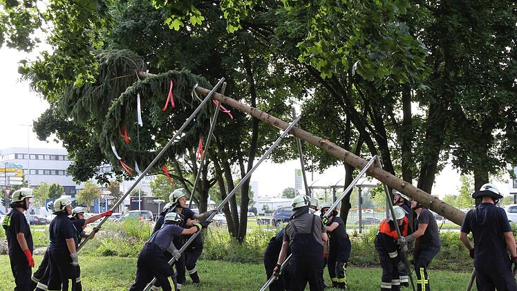 Mit vereinten Kräften stellt die Freiwillige Feuerwehr den Kirchweihbaum auf.   Fotos: Horst Lange
