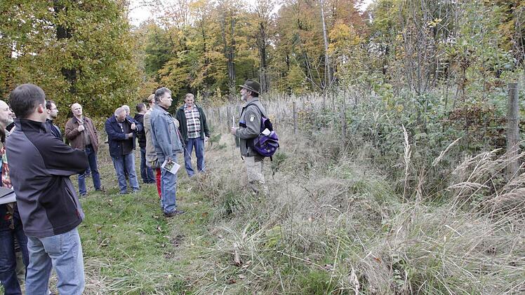 Foto: Josef Hofbauer