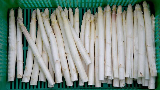 Geernteter Spargel. Symbolbild: Carsten Rehder/dpa
