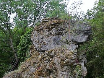 Der Adlerstein bei Engelhardsberg.