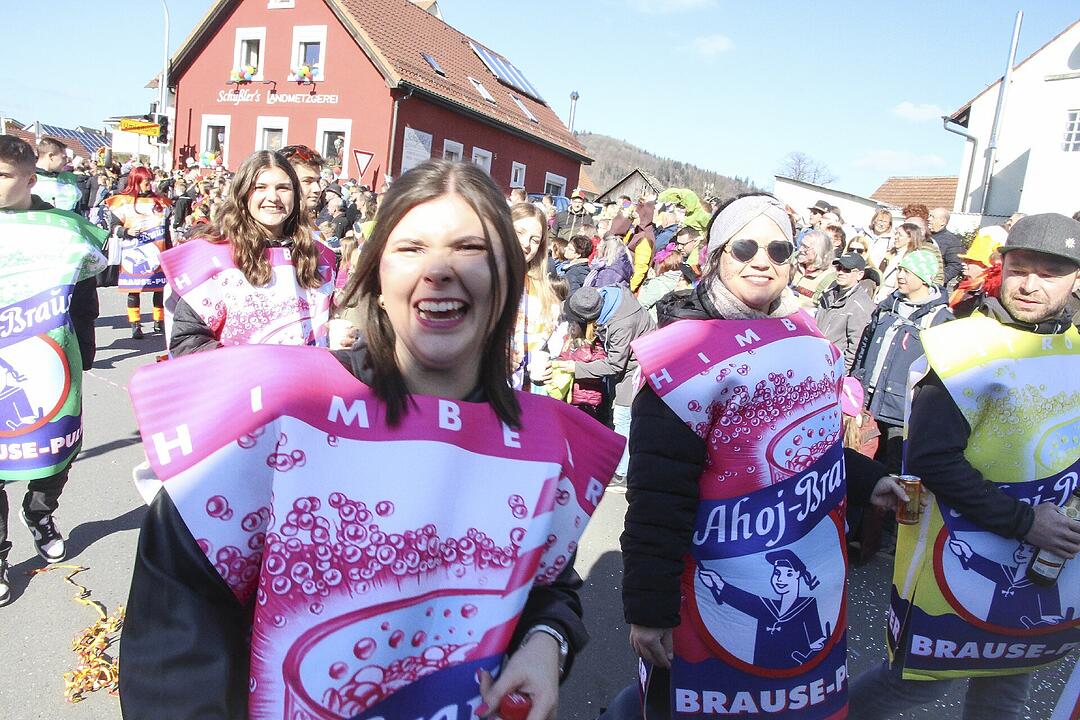 Fasching 2025 in Stadtsteinach!