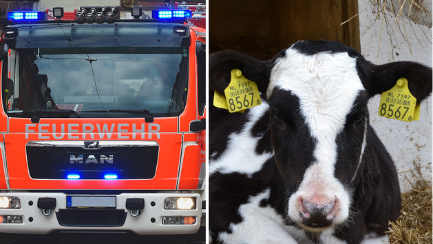 Ein Brandfall ereignete sich in einem Stall in Mitteldorf im Kreis Forchheim
