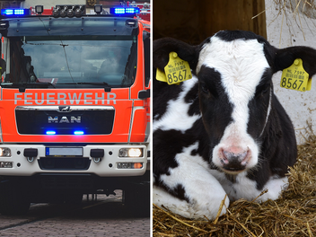 Ein Brandfall ereignete sich in einem Stall in Mitteldorf im Kreis Forchheim