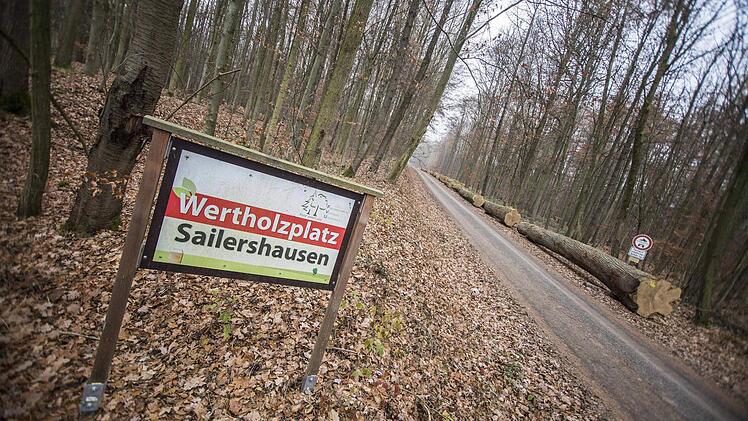 Nachwachsende Roh- und Wertstoffe: der Sailershäuser Wald.Foto: Rene Ruprecht