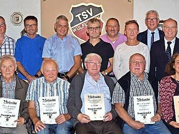 Für 50, 60 und 70 Jahre Treue zum Verein wurden zahlreiche Mitglieder des TSV Wülflingen ausgezeichnet. Außerdem ehrte der BLSV einige Mitglieder für besondere Verdienste. Unser Bild zeigt (vorne von links) Klaus Schnitzer, Alfons Bögner, Franz Bögner, Karl Stumpf, Georg Reinhardt, Britta Glöckner und Jürgen Mielke sowie (hinten von links) Wilhelm Jahna, Wilhelm Schnitzer, Armin Richter, Stefan Orf, Andreas Bögner, An-dreas Ludwig, Oliver Fesser, Bürgermeister Günther Werner, Gerald Makowski ...