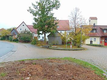 Über dem  Löschwasserbehälter in Kappel waren Bäume gepflanzt worden, die nun  Probleme bereiten.Petra Malbrich