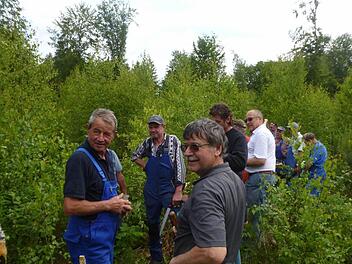 Die Rechtler sorgen sich um Auswirkungen auf den Wald durch die geplante Stromtrasse. Foto: Günther Straub