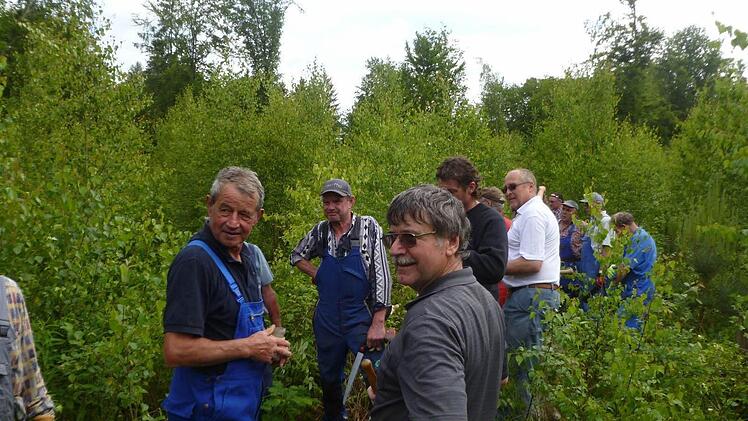 Die Rechtler sorgen sich um Auswirkungen auf den Wald durch die geplante Stromtrasse. Foto: Günther Straub