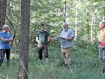 Beim Waldgang Ende Juli dieses Jahres war für Revierförster Wolfgang Meiners (rechts) die Welt noch in Ordnung. Erst im August stellte sich deutlich heraus, dass viele Fichten gefällt werden müssen. Links im Bild: Bürgermeister Günter Pfeiffer.  Foto: Martin Schweiger/Archiv