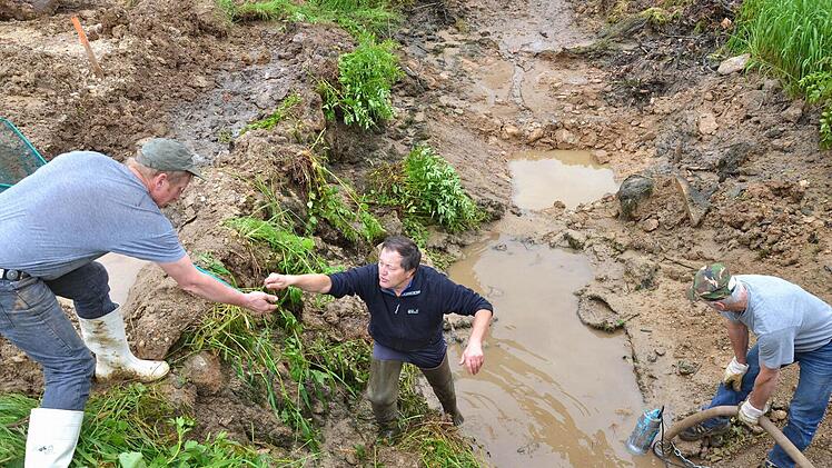 Roland Richter und Hubert Kehrer (r.) vom Fischereiverein Hagenbach holen Kleinlebewesen aus dem nahezu leergelaufenen Bett der Trubach.