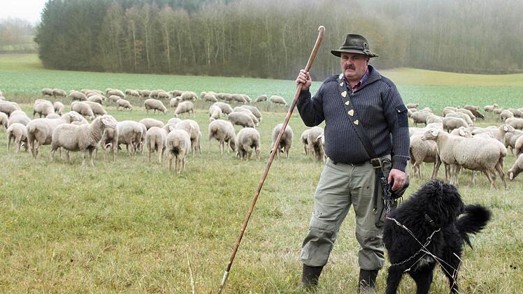Schäfer Anton Wunderlich vor seiner Herde Foto: Popp