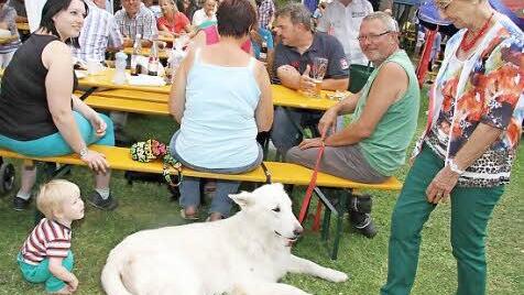 Spratzel und Herrchen Stephan Bräu sind jedes Jahr beim Tierheimfest mit von der Partie