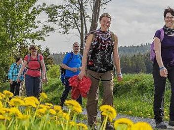 Vom 23. bis 27. Mai k&ouml;nnen Wanderfans traumhafte Strecken im Frankenwald entdecken. Eine Tour startet in Presseck. Foto: Markus Balkow