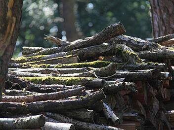 Holzlagerung auf öffentlichen Plätzen - die unendliche Geschichte in Wartmannsroth und den Ortsteilen. Foto: Gerd Schaar