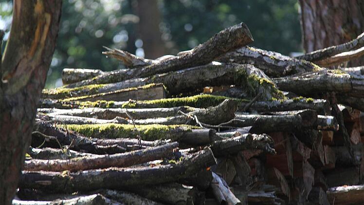 Holzlagerung auf öffentlichen Plätzen - die unendliche Geschichte in Wartmannsroth und den Ortsteilen. Foto: Gerd Schaar
