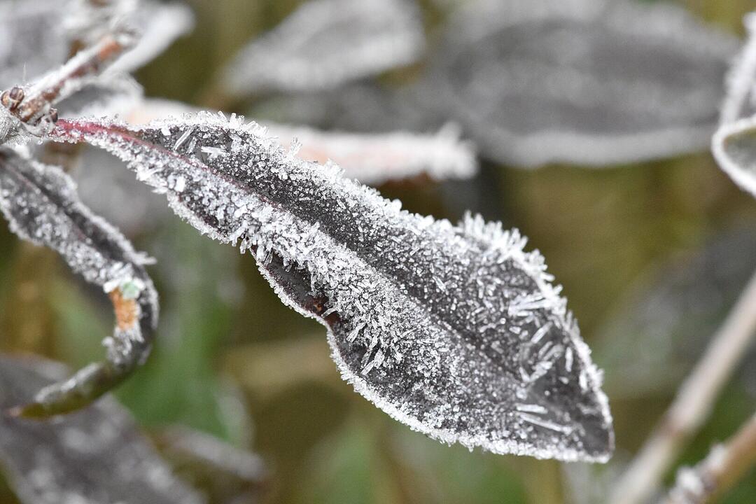 Die schönsten Fotos im Februar aus Haßfurt und Umgebung